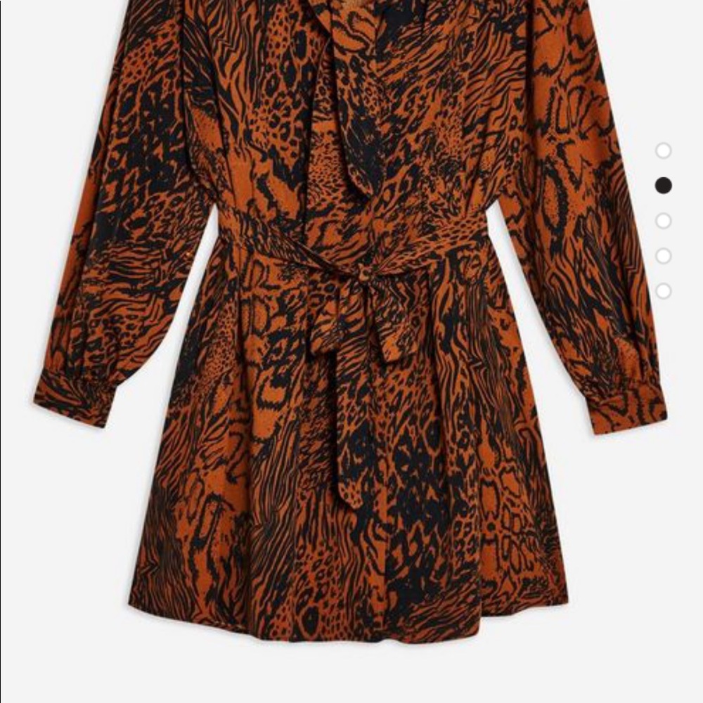 TopShop Petite Dress